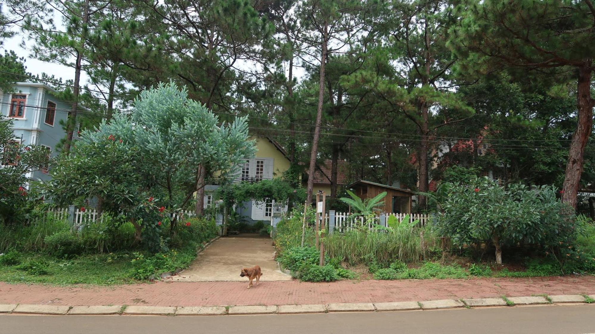 La Maison Homestay Mang Den Kon Tum Exterior photo