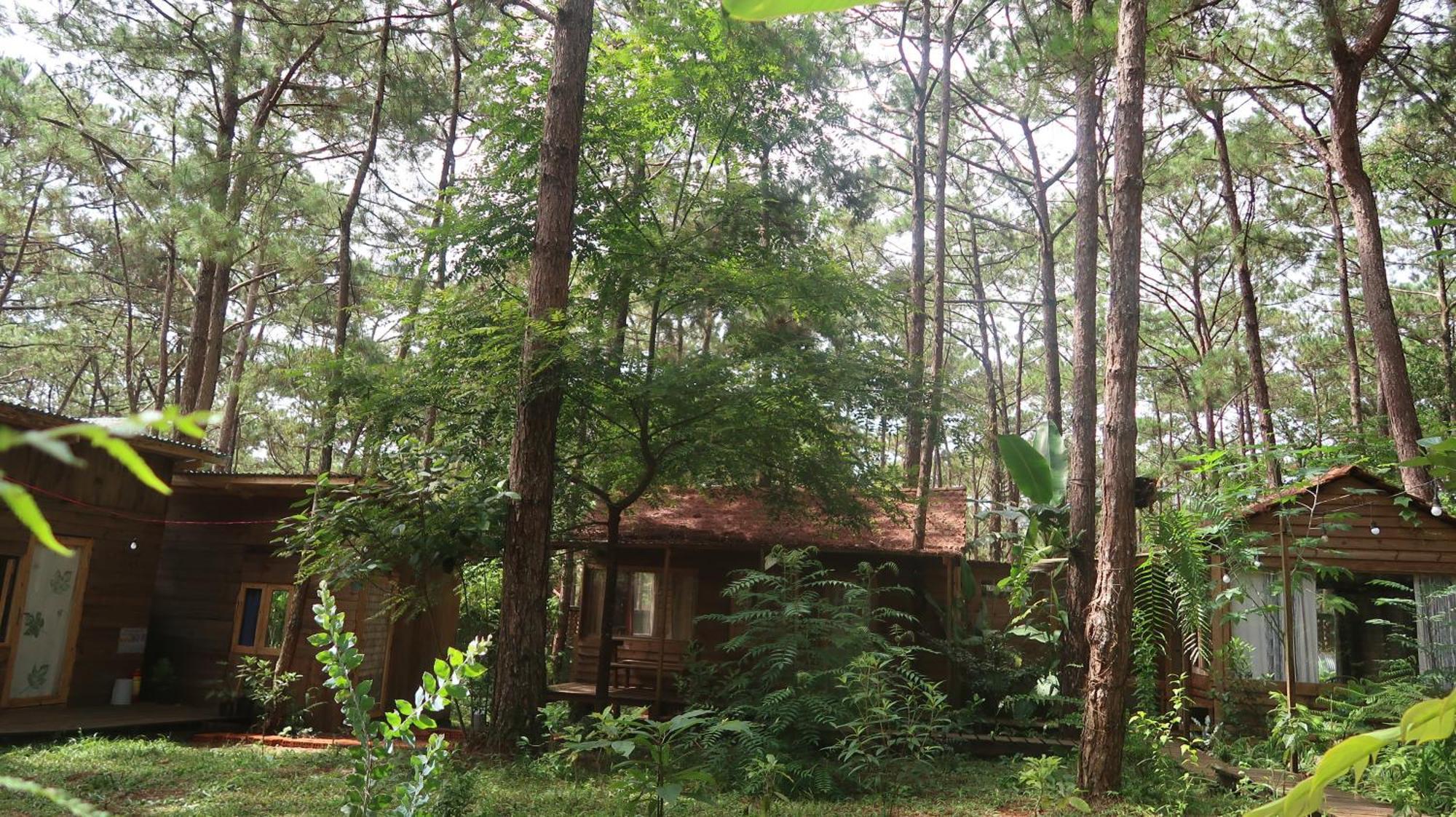 La Maison Homestay Mang Den Kon Tum Exterior photo