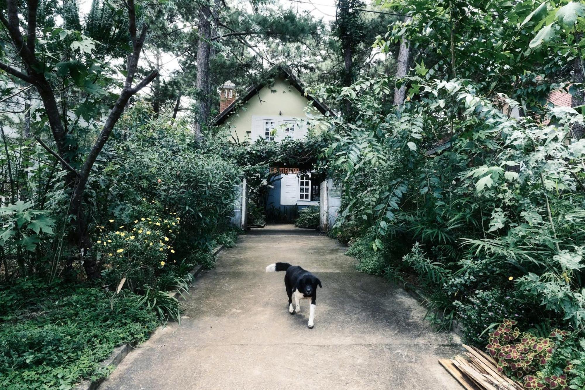La Maison Homestay Mang Den Kon Tum Exterior photo
